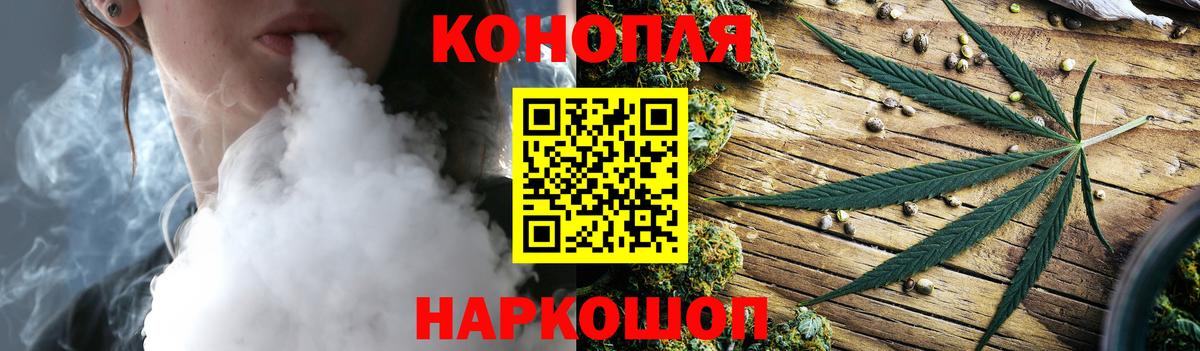 Канабис планчик Кинель